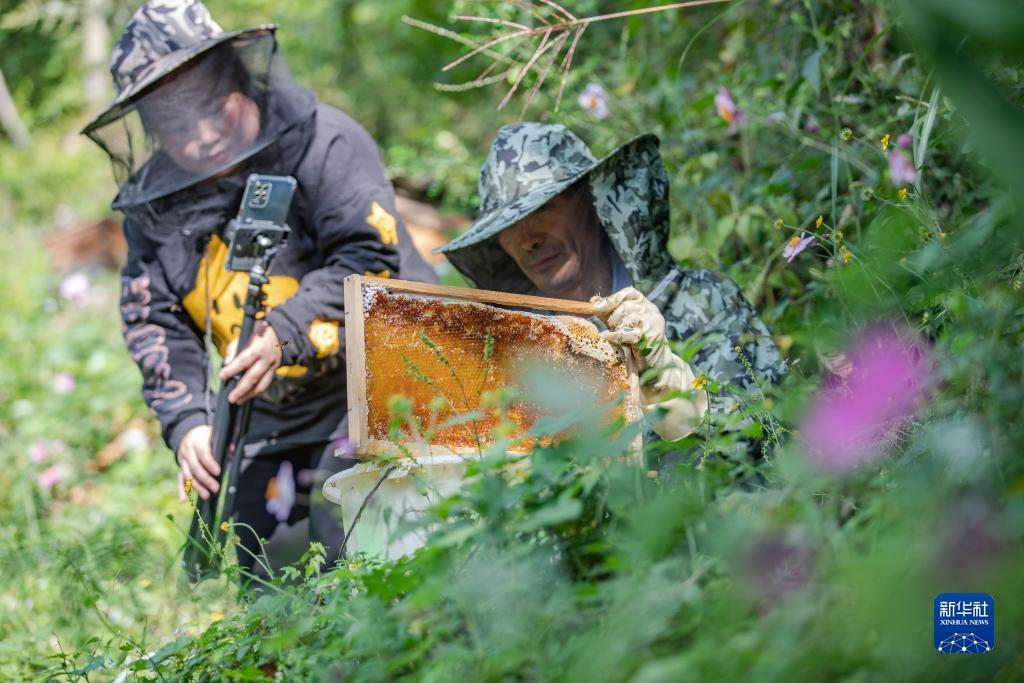 mg游戏下载